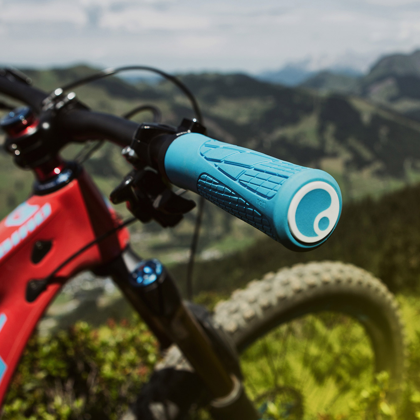 ergon ga2 fat mtb grips